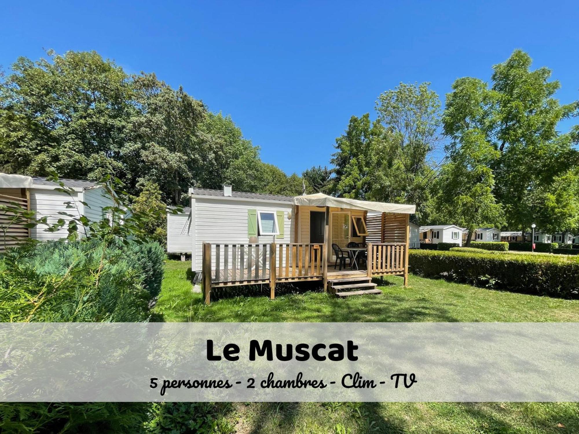 Le Muscat - Bungalow Pour 5 - Tv - Clim Boofzheim Bilik gambar
